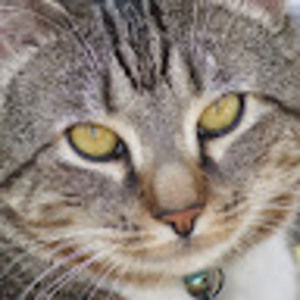 Meet your Posher, Diane